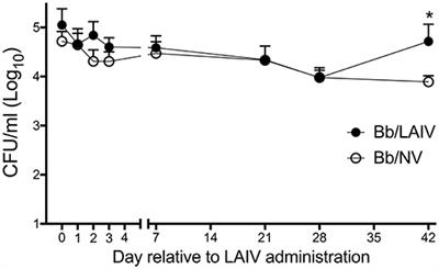 Bordetella bronchiseptica Colonization Limits Efficacy, but Not Immunogenicity, of Live-Attenuated Influenza Virus Vaccine and Enhances Pathogenesis After Influenza Challenge